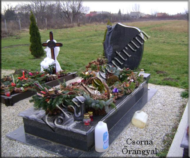 csorna-orangyal-8_thumb